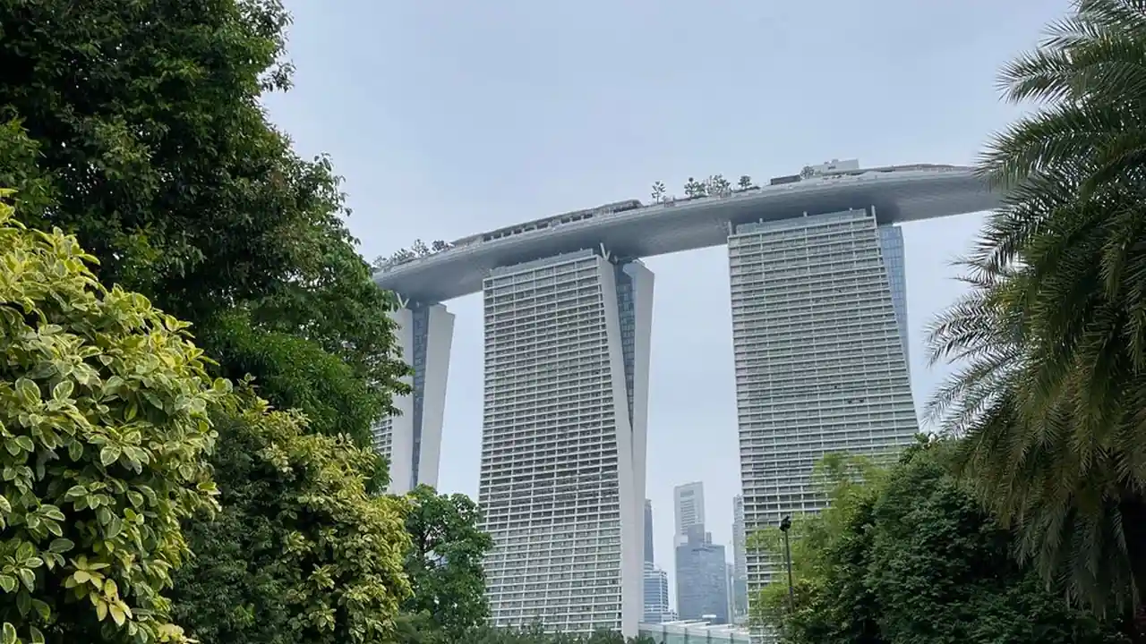 黄色软件视频APP常见问题与使用注意事项
